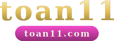 toan11 logo